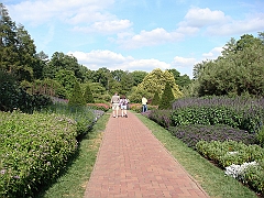 153 Longwood Gardens [2008 August 23]